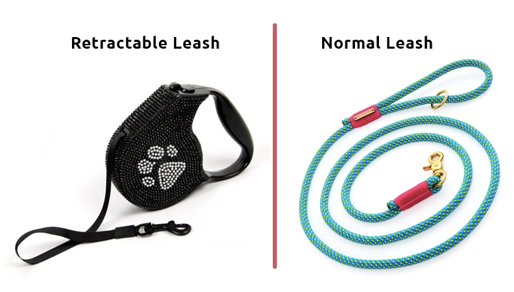 leash